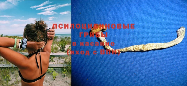 винт Арсеньев
