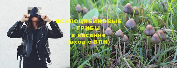 хмурый Армянск