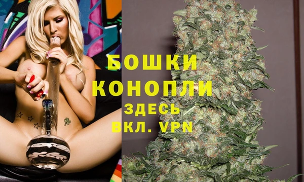 винт Арсеньев