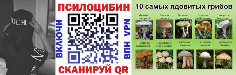 Купить  Гуково  Галлюциногенные грибы MAGIC MUSHROOMS 